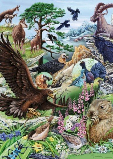 Fauna and Flora. jigsaw puzzle online