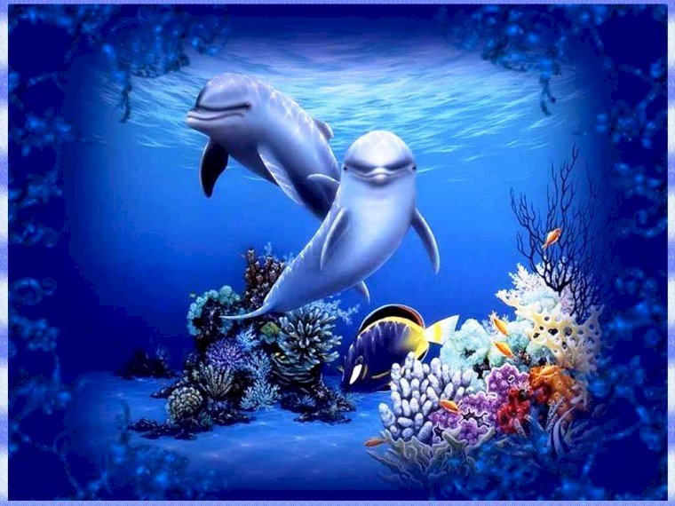 δελφίνια στα βάθη παζλ online