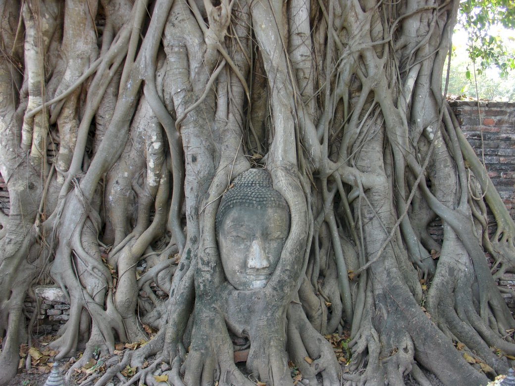 Bouddha à Ayutthaya puzzle en ligne