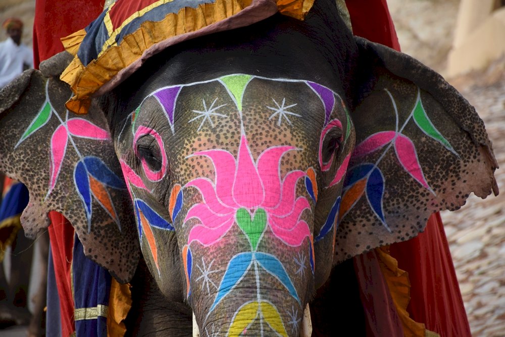 Elefant i Amber Fort Pussel online