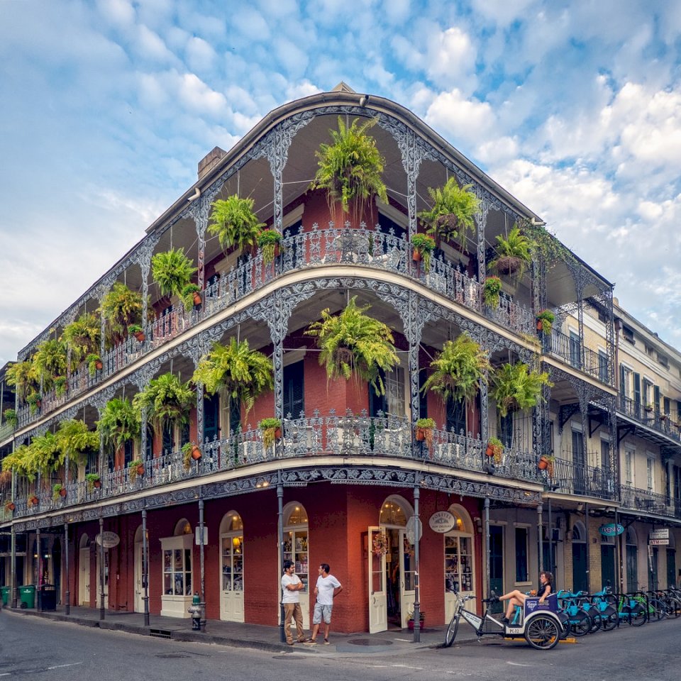 Ferns in the French Quarter. online puzzle