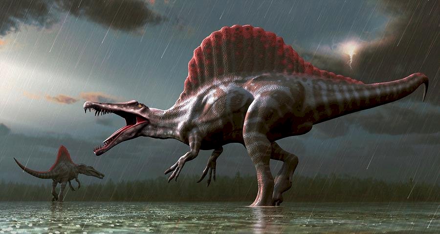 Σπινόσαυρος -Ακανθόσαυρος παζλ online