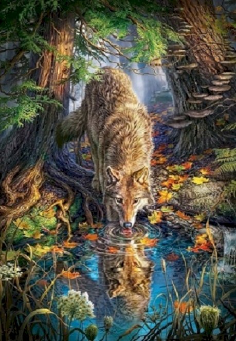 A wolf drinking water. jigsaw puzzle online