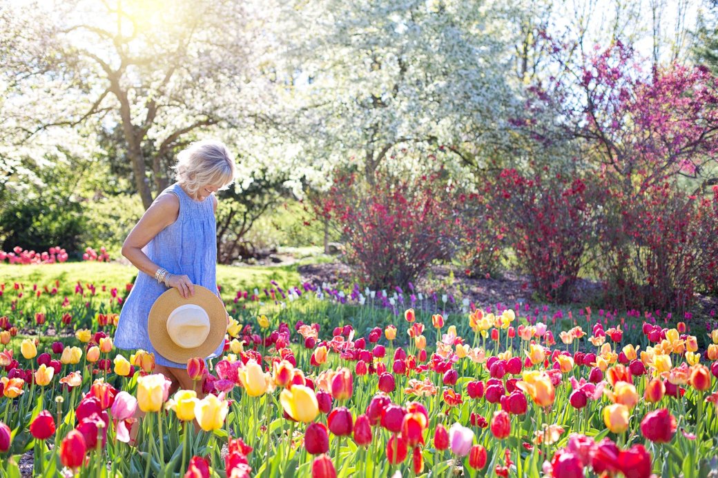 Woman in Tulips online puzzle