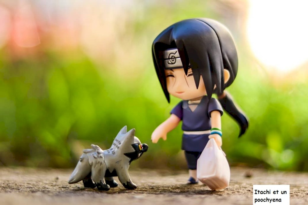 Itachi and a Poochyena jigsaw puzzle online