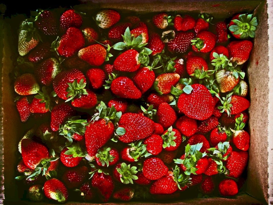 Кутия с ягоди онлайн пъзел