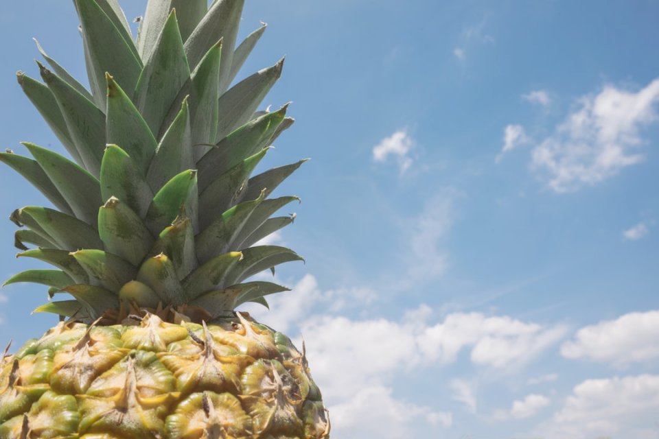Top all'ananas puzzle online