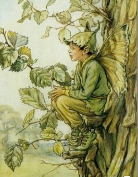 chlapec motýl sedí na stromě онлайн пъзел