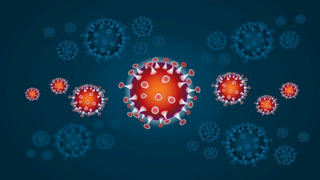 coronavirus rompecabezas en línea