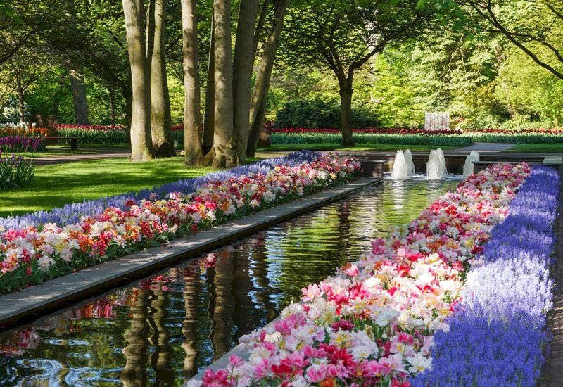 In the spring park. jigsaw puzzle online
