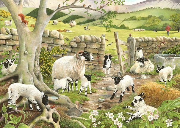 Αγγλικά πρόβατα. παζλ online