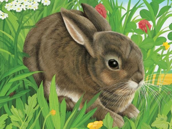 Osterhase. Online-Puzzle