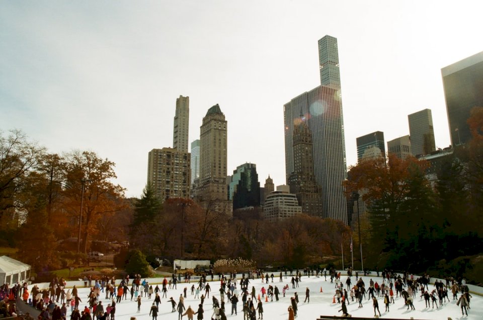 Центральний парк Нью-Йорка в листопаді онлайн пазл