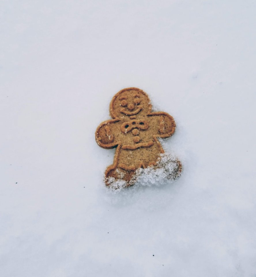Gingerbread man in snow jigsaw puzzle online