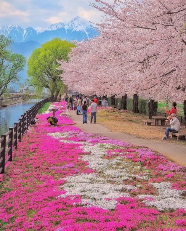 Primavera japonesa. quebra-cabeças online