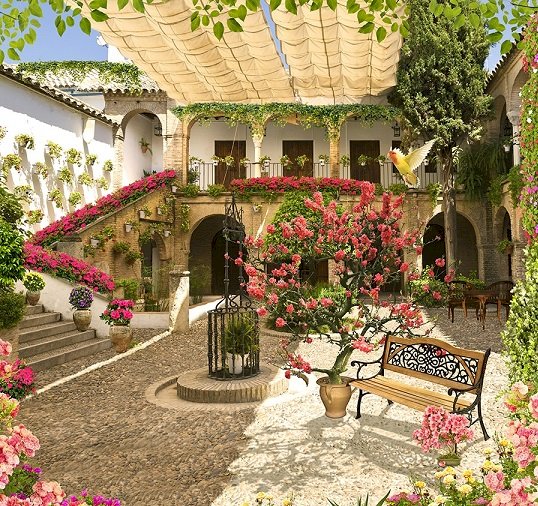 Flower patio. online puzzle