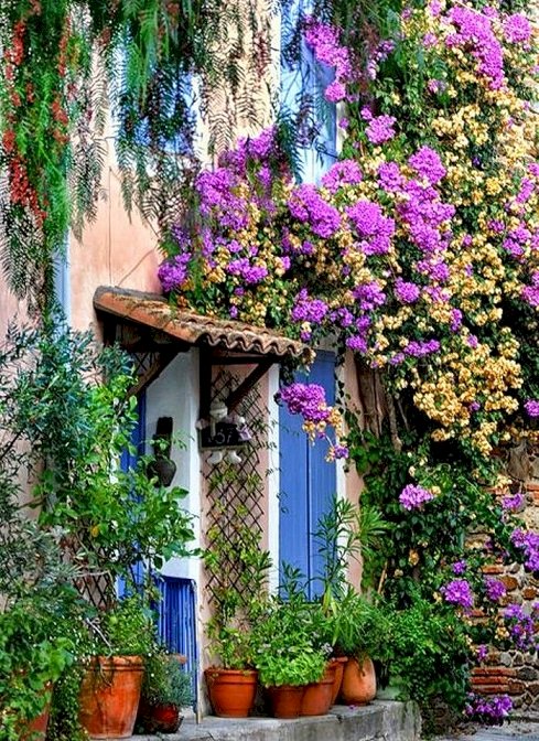 Bloemen van de Provence. online puzzel