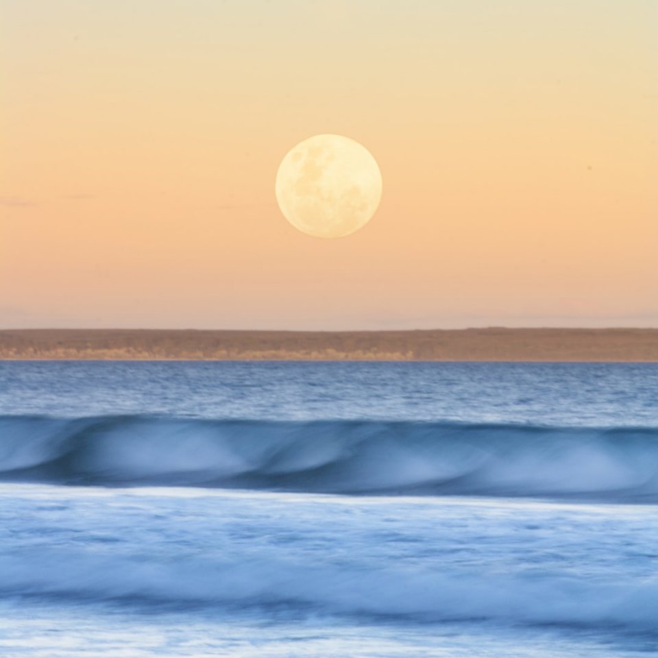 The nearly full moon rising jigsaw puzzle online