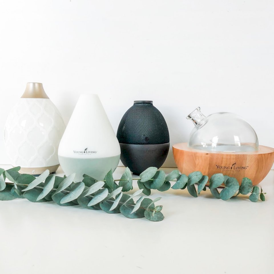 Oil diffusers with eucalyptus online puzzle