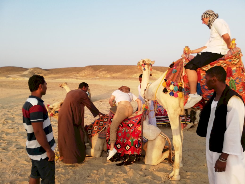Woestijnreis naar Egy legpuzzel online