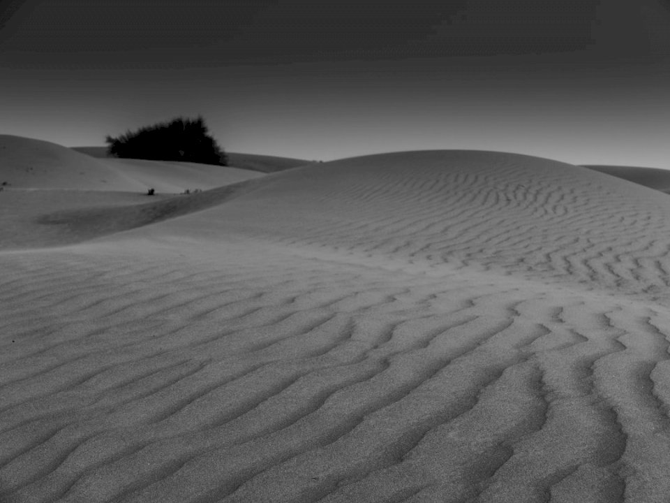 Woestijn in zwart-wit legpuzzel online