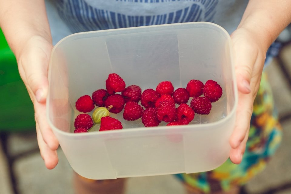 Сбор ягод в домашних условиях онлайн-пазл