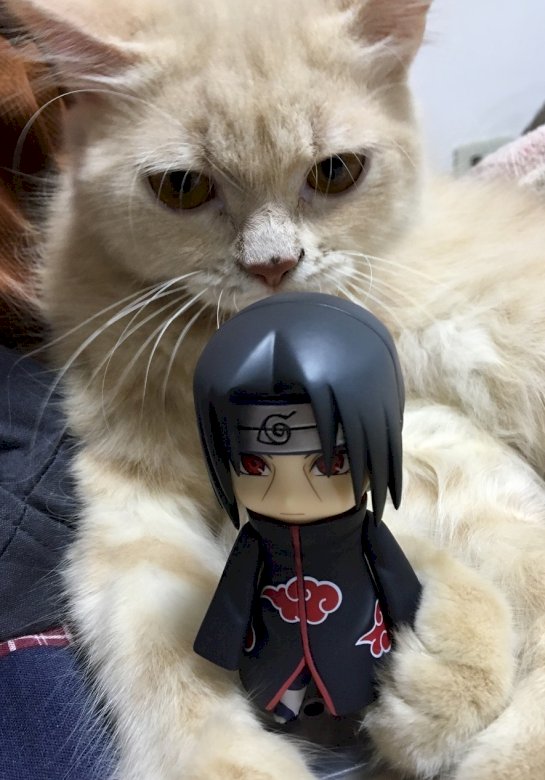Itachi en zijn kat legpuzzel online