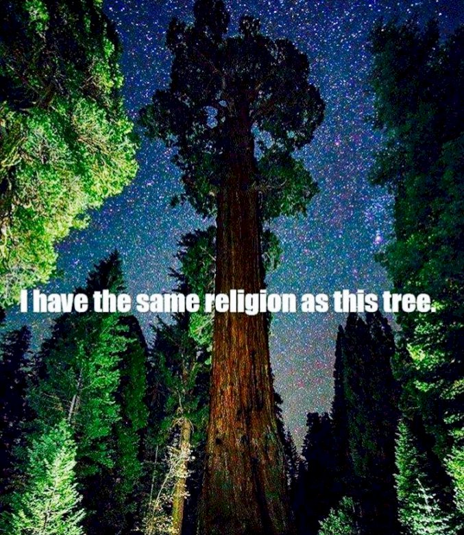příroda je moje náboženství skládačky online