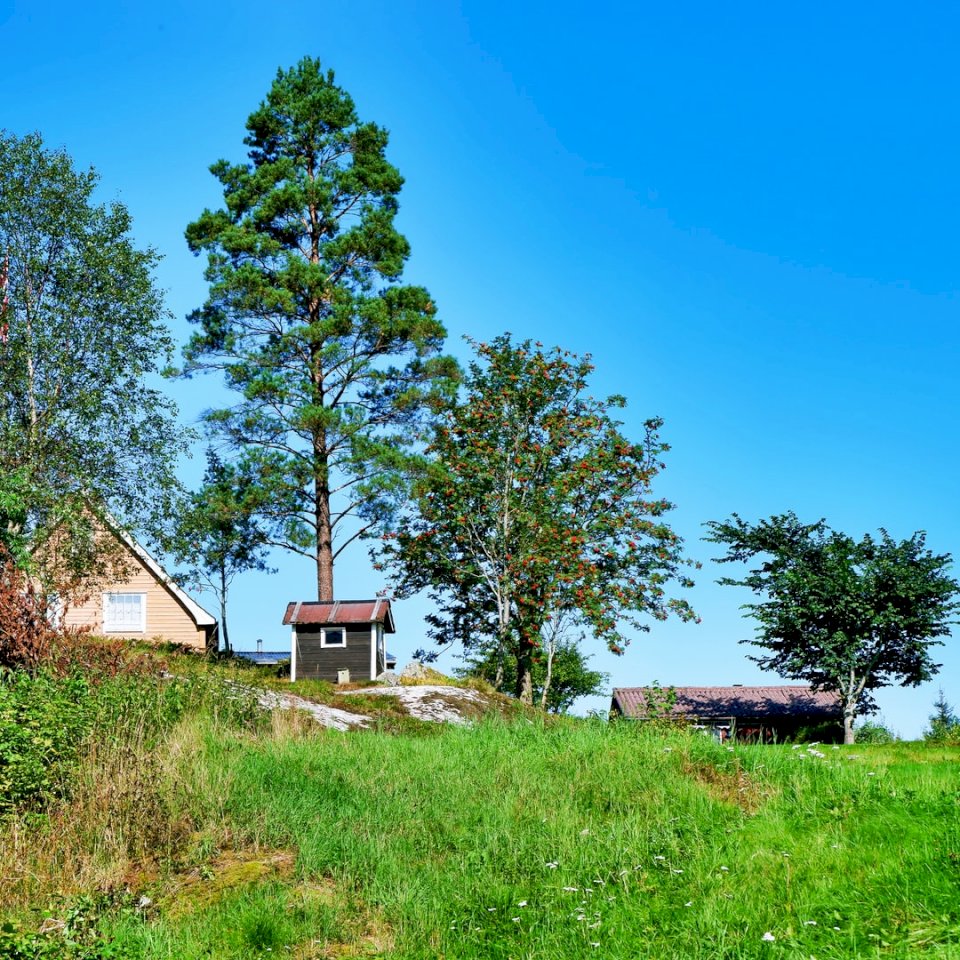 Casa y cobertizo cerca del lago Floen, rompecabezas en línea