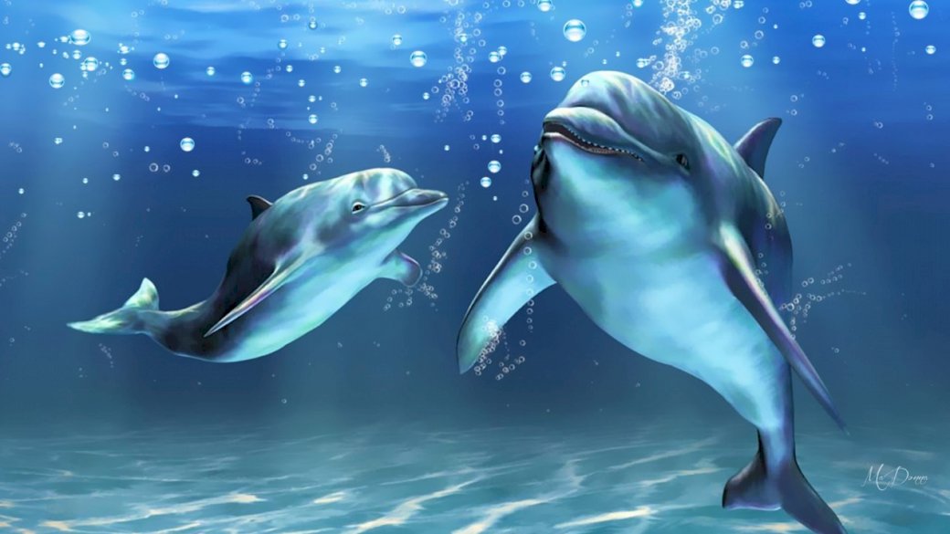 delfini in acque tranquille puzzle online