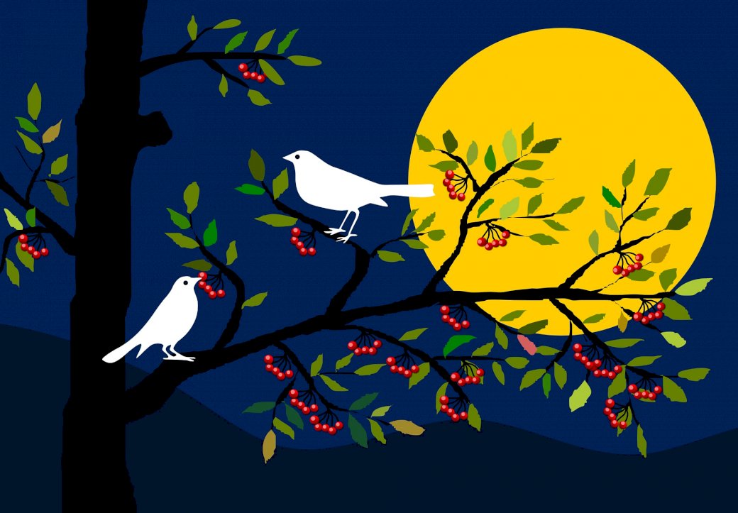 Fåglar på natten pussel på nätet