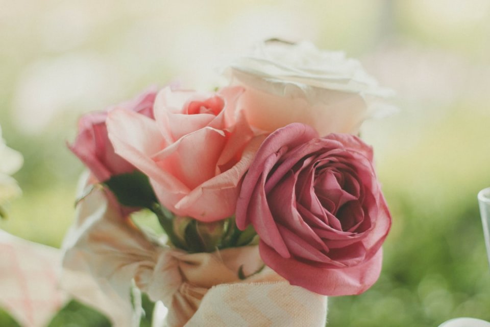 Rosa e petali di noce puzzle online