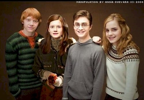 Harry, Ginny, Ron y Hermione. rompecabezas en línea