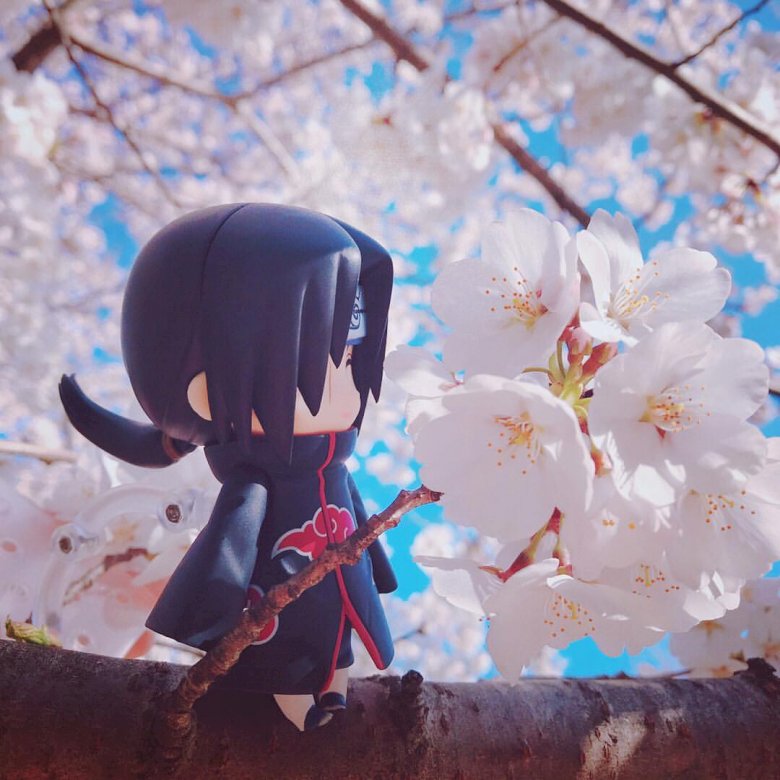 Itachi in a cherry tree online puzzle