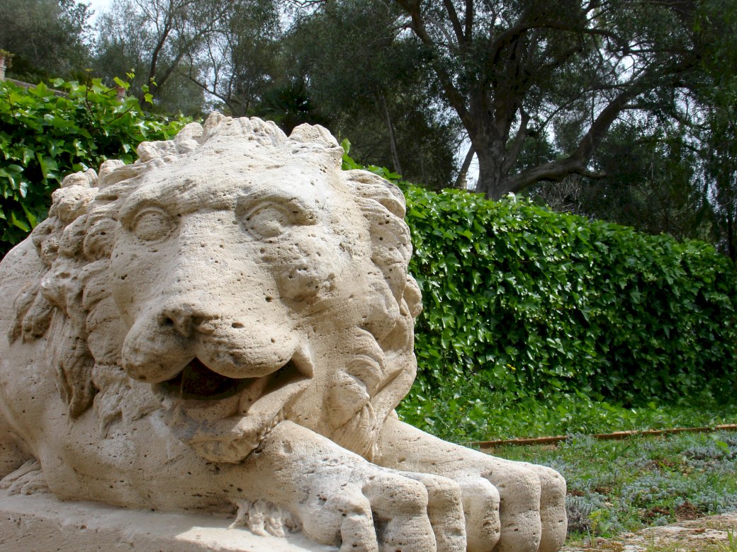 лев в саду онлайн-пазл
