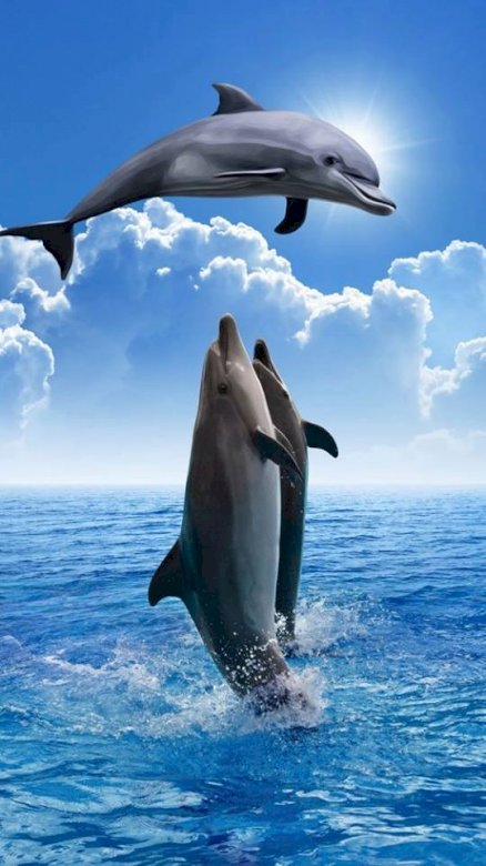 Дельфіни. онлайн пазл