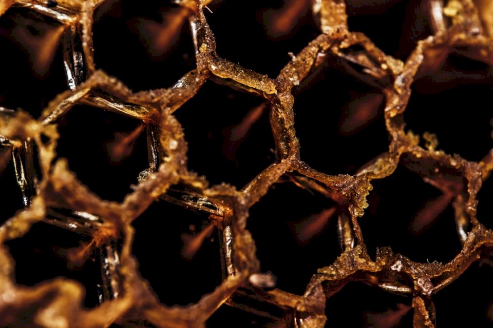 Makro av en bikupa. pussel på nätet