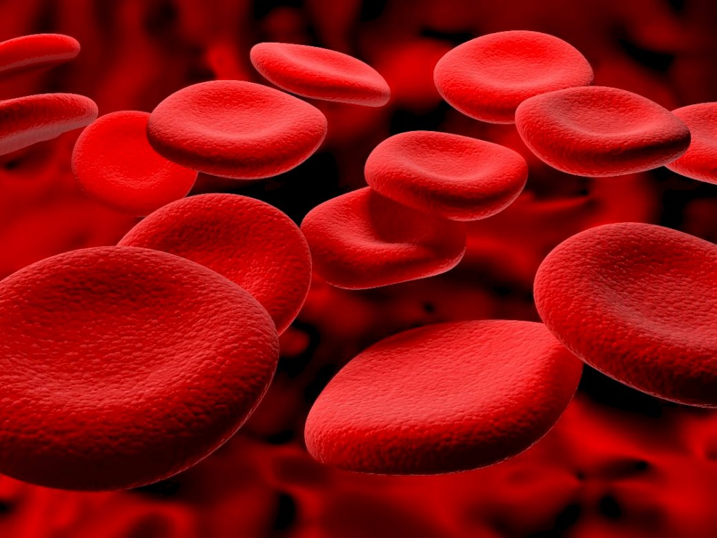 червени кръвни клетки онлайн пъзел