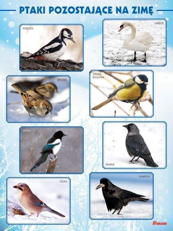 Vogels die in de winter in Polen blijven legpuzzel online