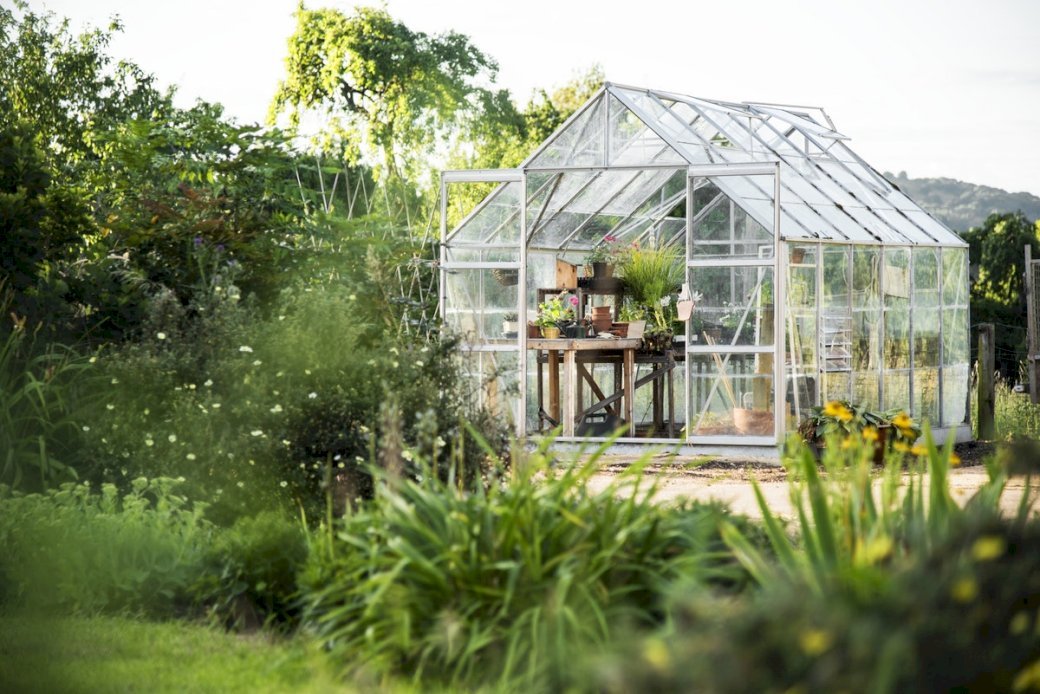 Egy gyönyörű zöld kert kirakós online