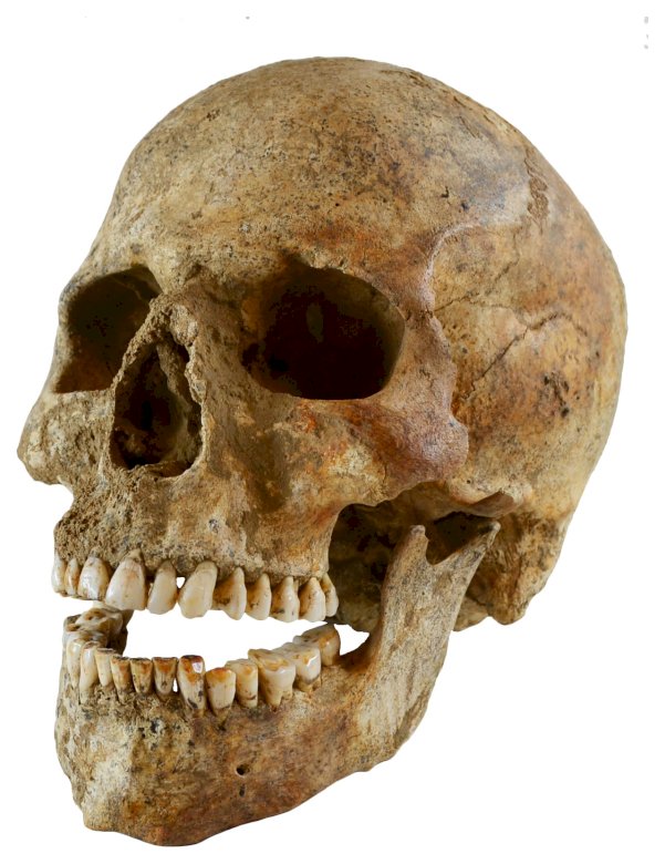 Neolithische schedel online puzzel