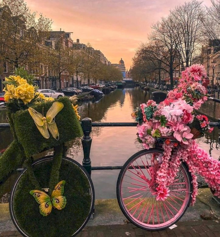 Primăvara Amsterdam. jigsaw puzzle online