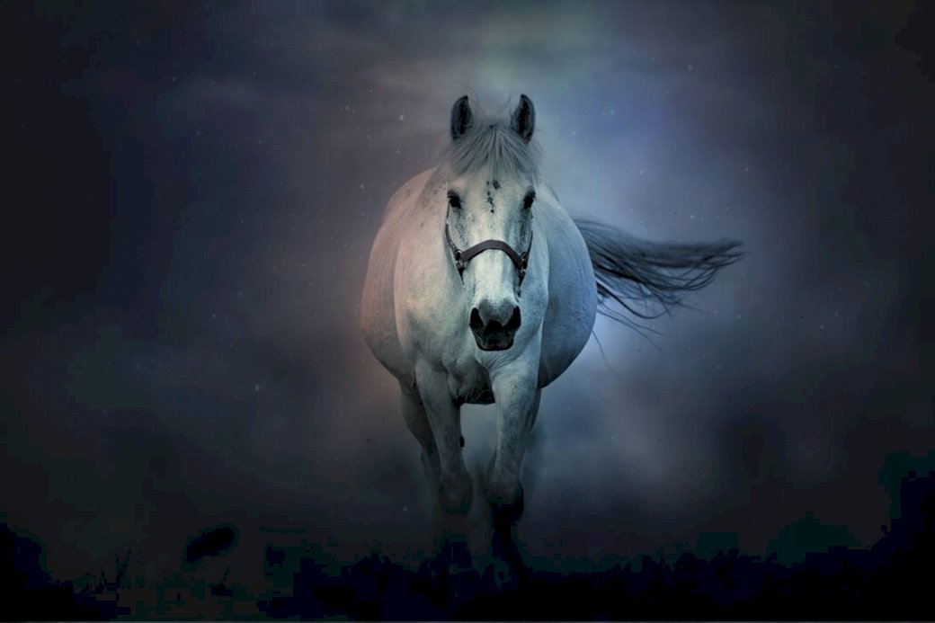 Horse by night Online-Puzzle