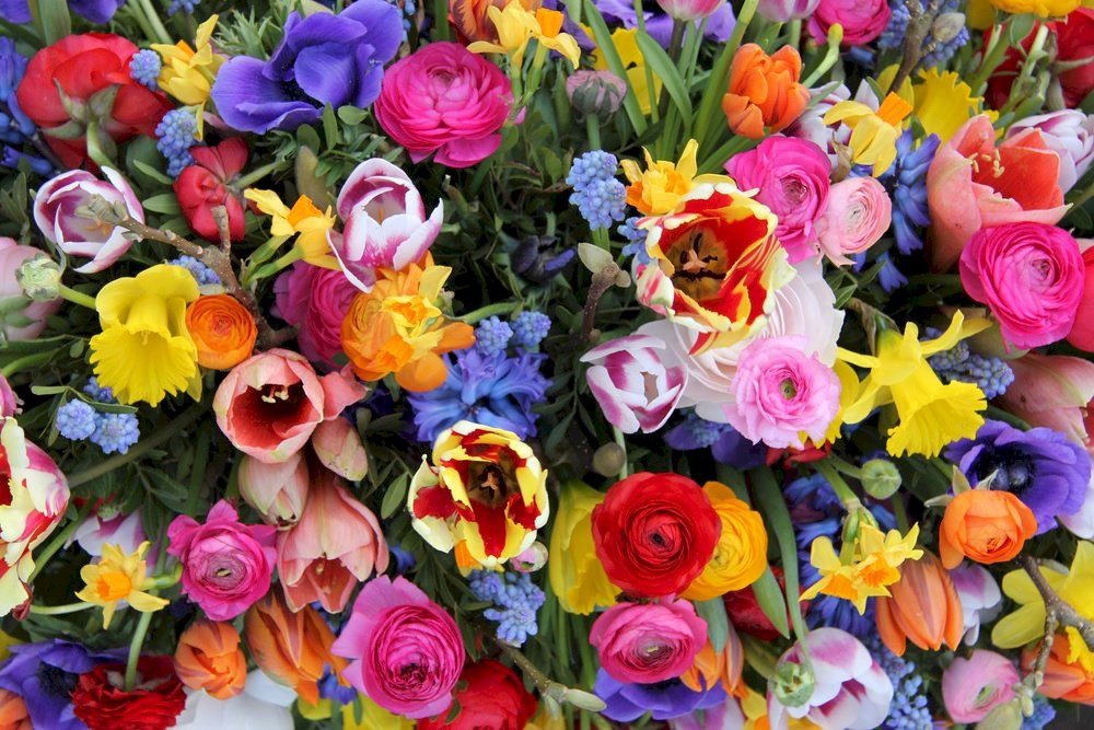 Szép tavaszi virágok online puzzle