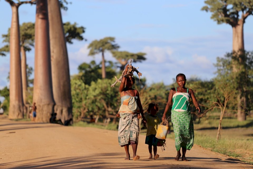 Nuestra mini foto de Madagascar rompecabezas en línea