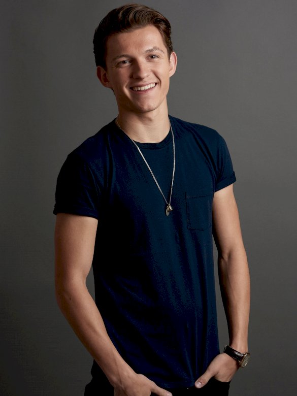 Tom Holland Online-Puzzle