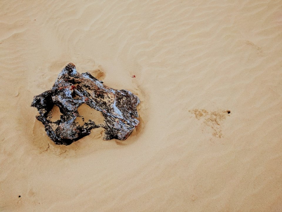 Un poco de madera solitaria en la playa rompecabezas en línea