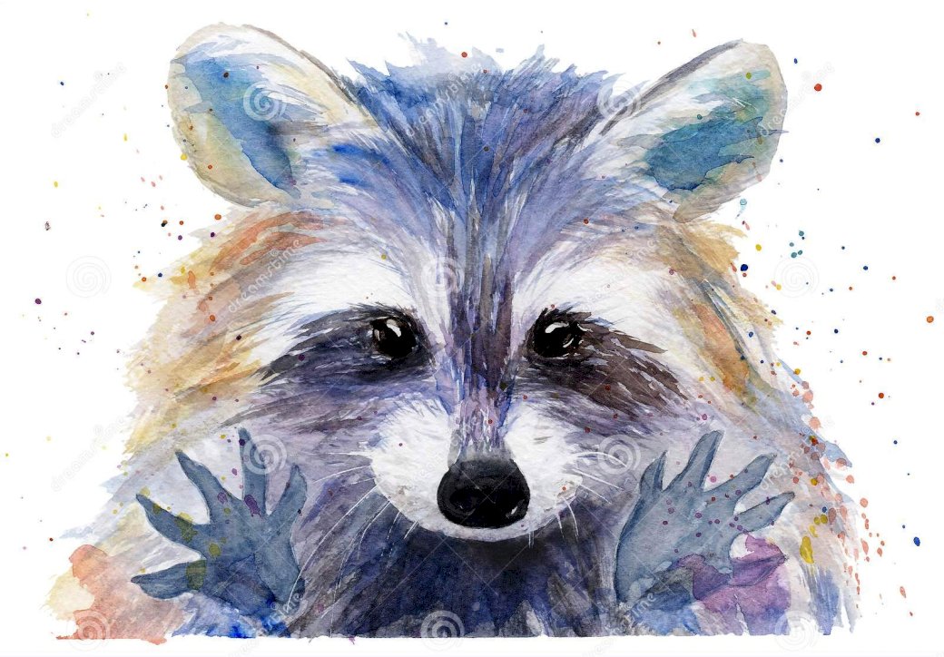 Raccoon colorat jigsaw puzzle online