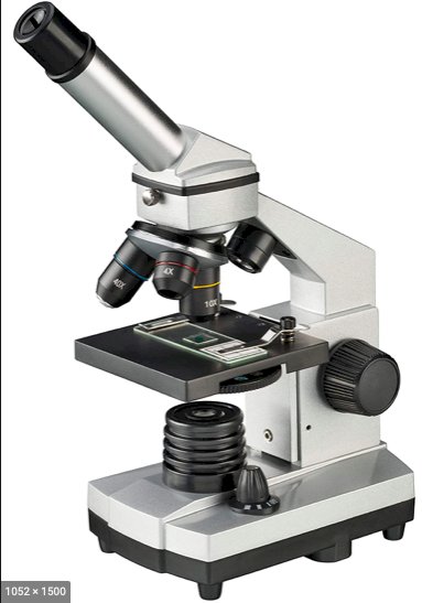 μικροσκόπιο online παζλ