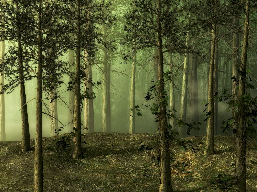 μαγευτικό δάσος online παζλ